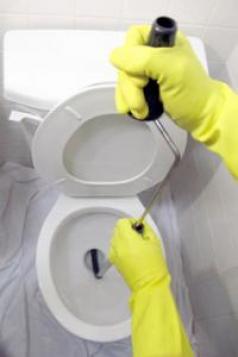 Our Euless plumbers clear toilet clogs 